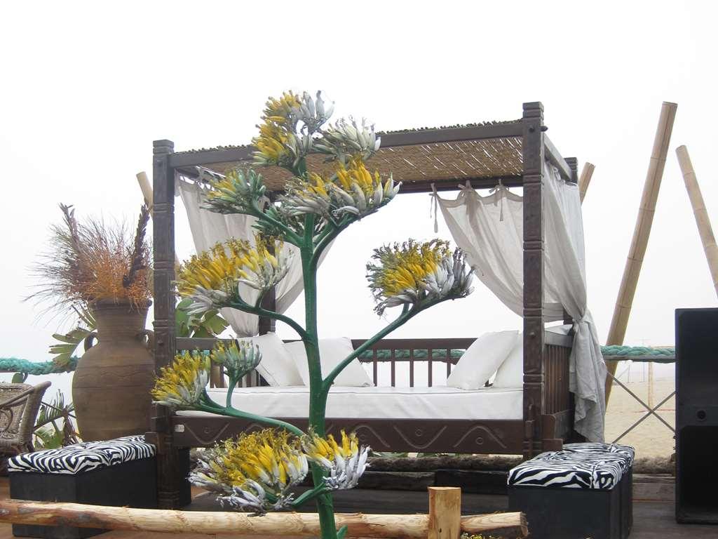 Ferienpark Villaggio Internazionale La Plaja